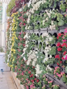 أفكار مبتكرة في تنسيق حوش البيت الصغير واستغلال المساحات