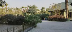 توزيع الإضاءة المخفية التفاعلية ليلاً على الأشجار وجدران الحديقة