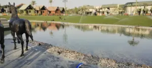 أفكار تنسيق حدائق منزلية وتصميم حوش فيلا راقي وعصري