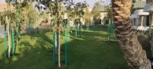 تركيب شبكات ري أوتوماتيكية ذكية للحدائق والمساحات الخضراء.