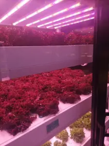 لوحة تحكم كهربائية ذكية لتشغيل مضخة ضباب الحديقة وضبط المؤقت