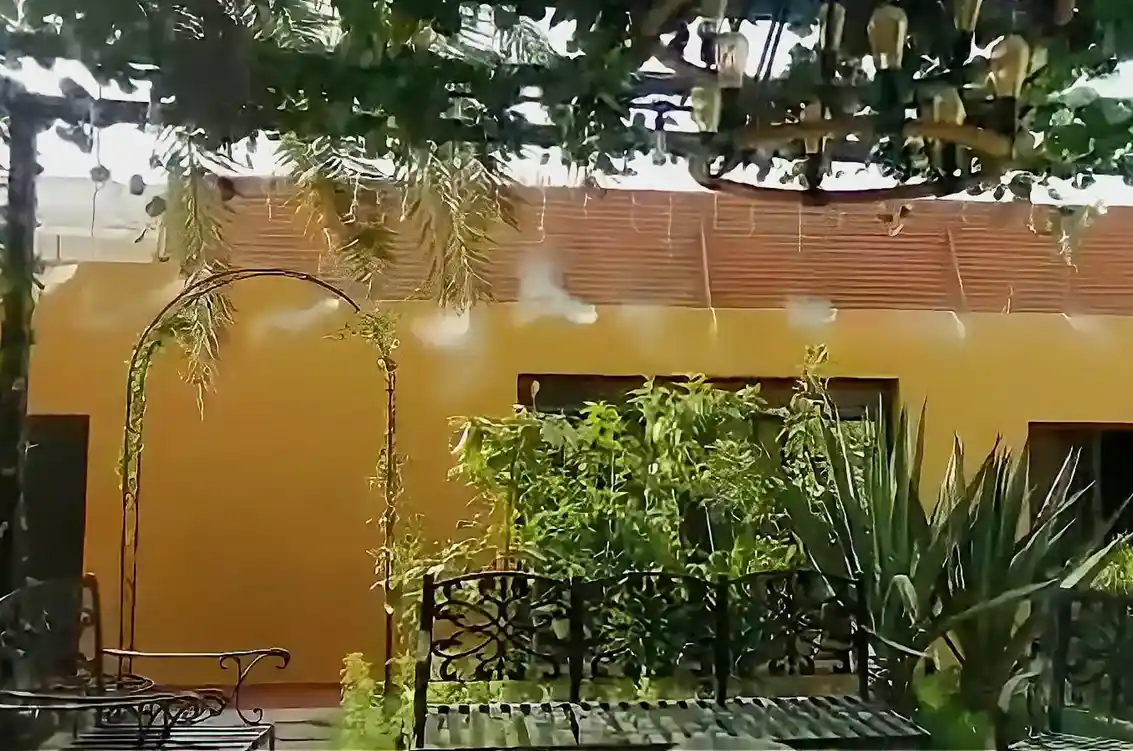 أعمال تنسيق حدائق منزلية وتصميم جلسات خارجية فاخرة مع العناية بالديكورات