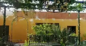 تنفيذ شلالات ونوافير جدارية مضيئة تضفي فخامة على حوش الفيلا.