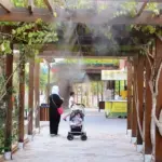 الفرق بين نظام الضباب الصناعي والرذاذ العادي (أيهما تختار؟)