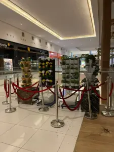 محاليل نبتة A و B المغذية للزراعة المائية لضمان نمو سريع للنبات