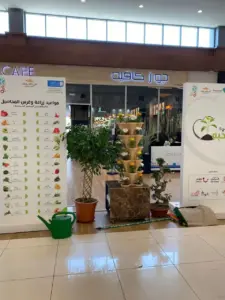 زراعة ورقيات، استثمار زراعي، أنظمة الأحواض