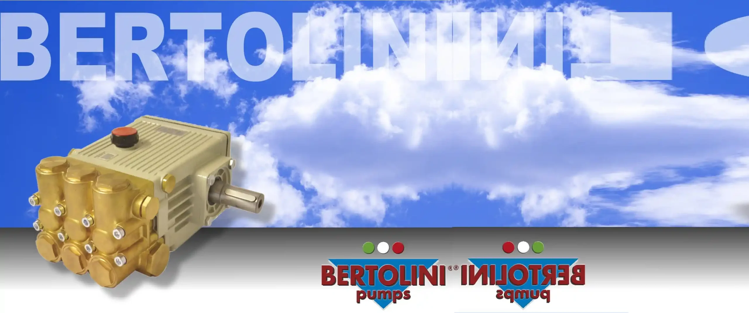 مضخة إيطالي بورتليني