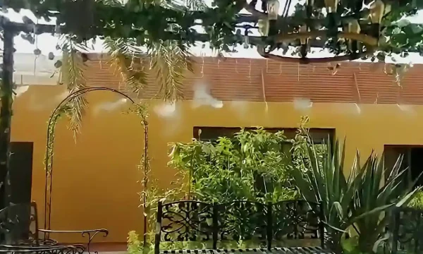 أعمال تنسيق حدائق منزلية وتصميم جلسات خارجية فاخرة مع العناية بالديكورات